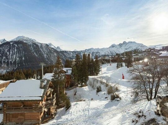 Ski in Ski out Chalets